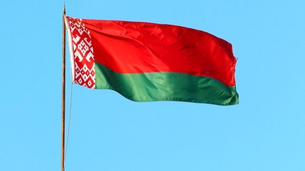 Флаг Республики Беларусь, флажная сетка Флаг Республики Беларусь, флажная сетка